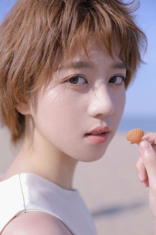 旗袍美探电视剧免费观看